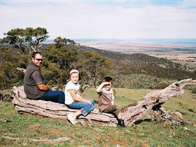 Bridle Track - Accommodation NSW 0