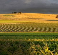 Kellermeister Wines - Accommodation NSW