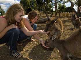 Seddon SA Accommodation NSW