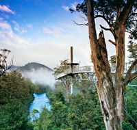 Tahune Adventures Tasmania - Accommodation NSW