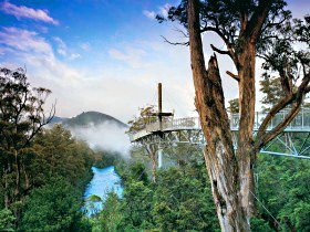 Tahune Adventures Tasmania - Accommodation NSW 0