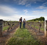 Coonawarra Wineries Walking Trail - Accommodation NSW