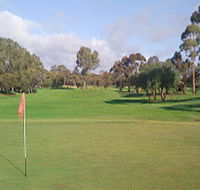 Regency Park Golf Course - Accommodation NSW