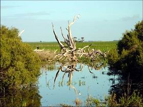 Bool Lagoon Game Reserve And Hacks Lagoon Conservation Park - Accommodation NSW 0