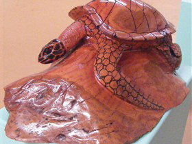 Ants Redgum Gallery - Accommodation NSW 0