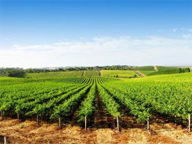 Aldinga SA Accommodation NSW