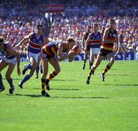 AAMI Stadium Tours - Accommodation NSW