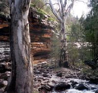 Mount Remarkable National Park - Accommodation NSW