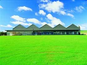 Shaw And Smith Winery - Accommodation NSW 0