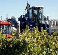 Ballast Stone Estate Wines Pty Ltd - Accommodation NSW