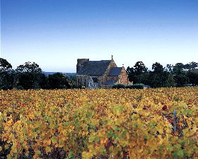 Sevenhill Cellars - Accommodation NSW 0