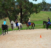 Megan Jones Riding School and Trail Rides - Accommodation NSW