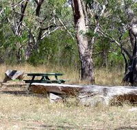 Penola Conservation Park - Accommodation NSW