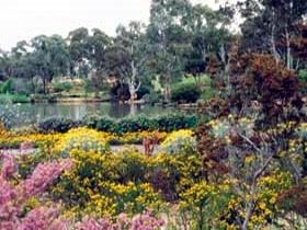 Wittunga Botanic Garden - Accommodation NSW 0