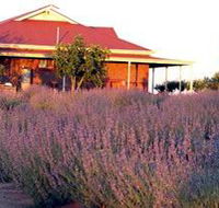 Bella Lavender Estate - Accommodation NSW