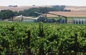 Kirrihill Wines - Accommodation NSW 0