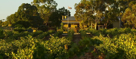 Greenock Creek Wines - Accommodation NSW 2