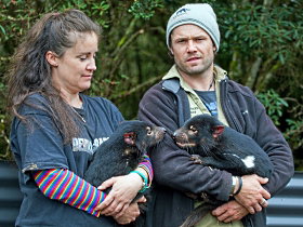 Devils@cradle - Accommodation NSW 0