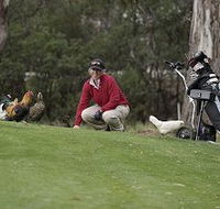 Tasmania Golf Club - The - Accommodation NSW