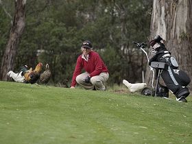 Tasmania Golf Club - The - Accommodation NSW 0
