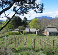 Wilmot Hills Vineyard - Accommodation NSW