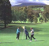 Deloraine Golf Course - Accommodation NSW