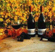 Craigow Vineyard - Accommodation NSW