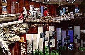 West Coast Visitor Information And Booking Centre - Accommodation NSW 0