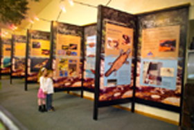 Platypus Experience - Accommodation NSW 0