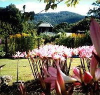 Blueberry Cottage Open Gardens - Accommodation NSW