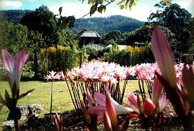 Blueberry Cottage Open Gardens - Accommodation NSW 0