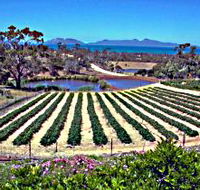Kate's Berry Farm - Accommodation NSW