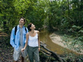 Mooloolah River National Park, Jowarra Section - Accommodation NSW 0