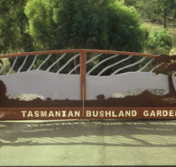 Tasmanian Bushland Garden - Accommodation NSW