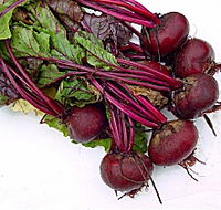 Sorell Market - Accommodation NSW