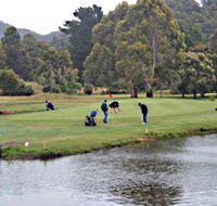 Penguin Golf Course - Accommodation NSW