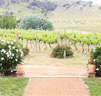 Brindabella Hills Winery - Accommodation NSW