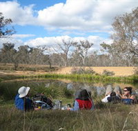 Canberra Nature Park - Accommodation NSW