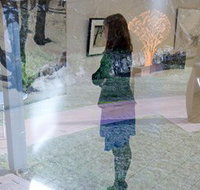 Beaver Galleries - Accommodation NSW