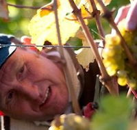 Puddleduck Vineyard - Accommodation NSW