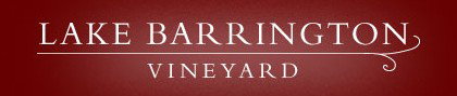 Lake Barrington Estate Vineyard - Accommodation NSW 0