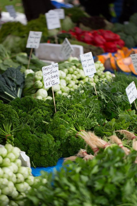 Salamanca Market - Accommodation NSW 5