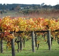 Apsley Gorge Vineyard - Accommodation NSW