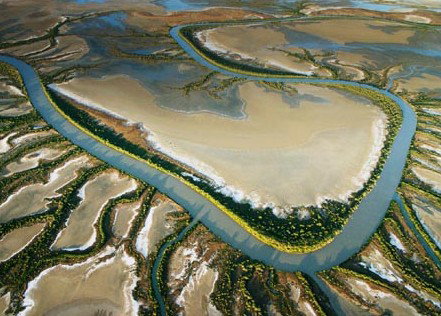 The Wilderness Gallery - Accommodation NSW 0