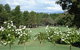 RMC Golf Club - thumb 0