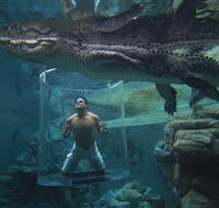 Crocosaurus Cove - Accommodation NSW
