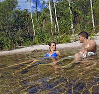 Tjaynera/Sandy Creek Falls - Accommodation NSW