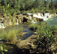 Flora River Nature Park - Accommodation NSW
