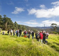 Apple Tree Park - Accommodation NSW