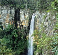 Gondwana Rainforests of Australia - Accommodation NSW